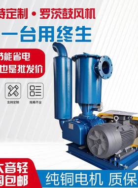 三叶罗茨鼓风机粉煤灰上料设备负压吸料除尘风量大反冲洗鼓风机