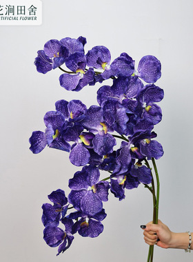 手感保湿万代兰仿真花  家居软装饰工程婚庆摄影摆件蝴蝶兰假花