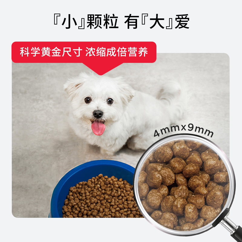 Hill's希尔思老年犬狗粮小型犬通用泰迪金毛进口希尔斯狗粮15lb-图3