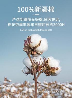 纯棉夹棉床笠加厚单件防滑床罩防尘罩2024年新款席梦思套罩冬