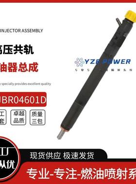 EJBR04601D适用双龙路帝2.7T德尔福喷油器A6650170321雷斯特五缸