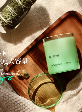 探遨木质调家居摆件伴手礼生日礼