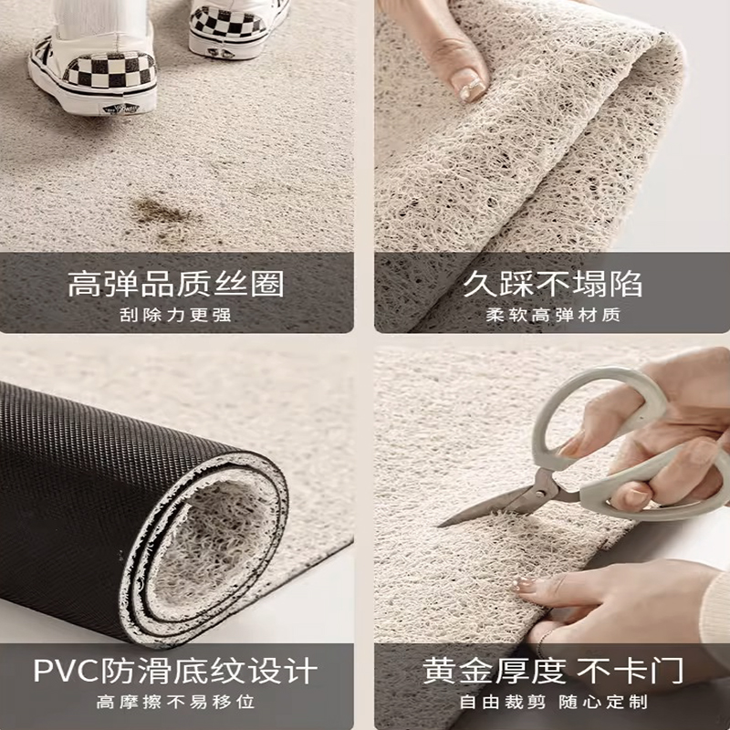 丝圈入户门地垫门口进门蹭土地毯耐脏简约防滑门垫过道玄关脚垫 - 图1