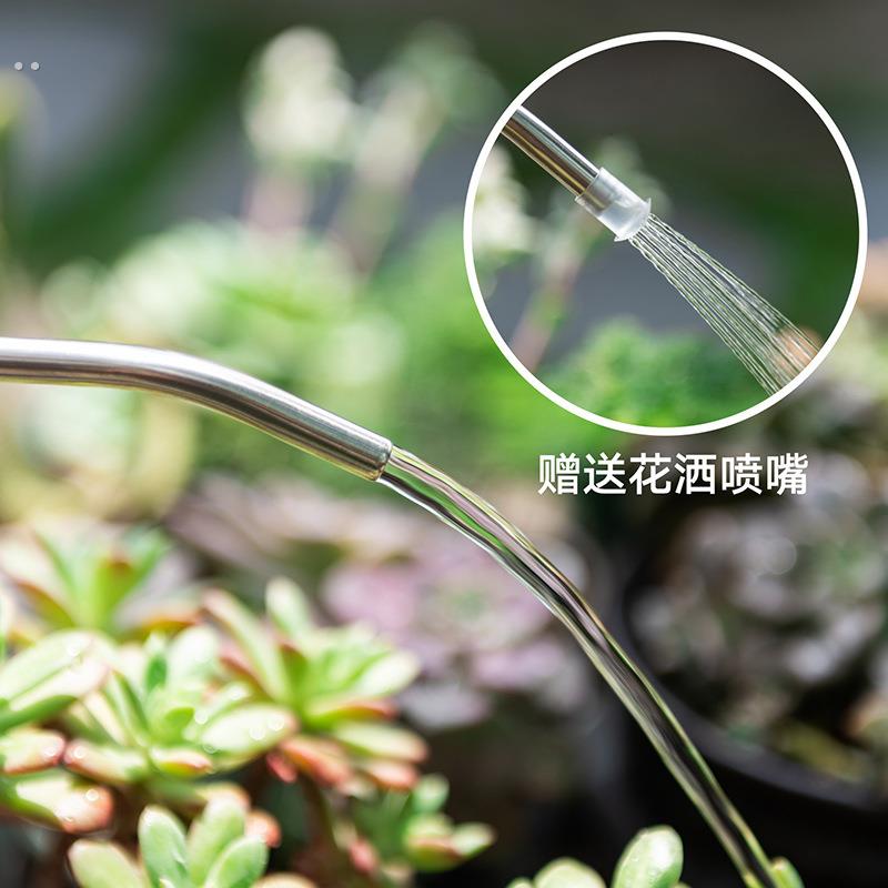 浇水壶家用长嘴洒水壶园艺绿植小盆栽养花喷壶淋花壶多肉浇花神器 - 图1