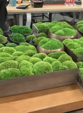好货中式铜色圆盘永生苔藓盆景酒店售楼处高脚枯山石餐桌玄关软装