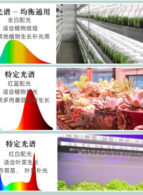 茉钡特生物植物补光灯仿太阳全光谱T8LED组培灯蔬菜盆景育苗生长