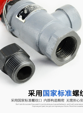 大连国立元宝弹簧式安全阀氨氟制冷阀门内螺纹A11F-25C微启安全阀
