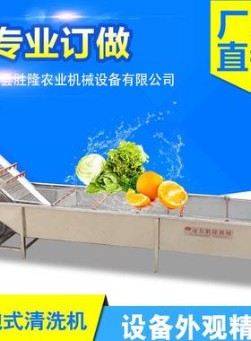 果蔬清洗机毛辊清洗气泡喷淋清洗水浴式巴式杀菌工作流水线