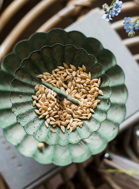 好货双层铁艺收纳盘装饰摆件杂货花园下午茶点心架森系派对