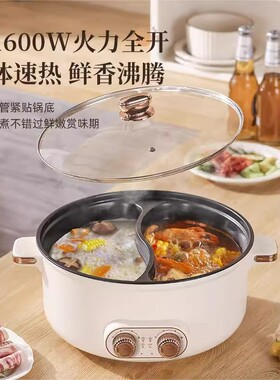 德国电火锅鸳鸯锅火锅多功能家用电热一体电煮双控大容量宿舍电锅