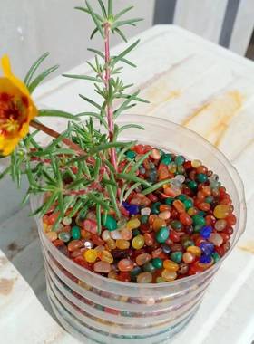 100克玛瑙雨花石玛瑙原石彩色玛瑙粒彩色石子多肉鱼缸铺面造景石