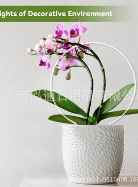 亚马逊花卉支柱亚克力植物桩花支撑半圆形园艺植物支撑环支撑桩