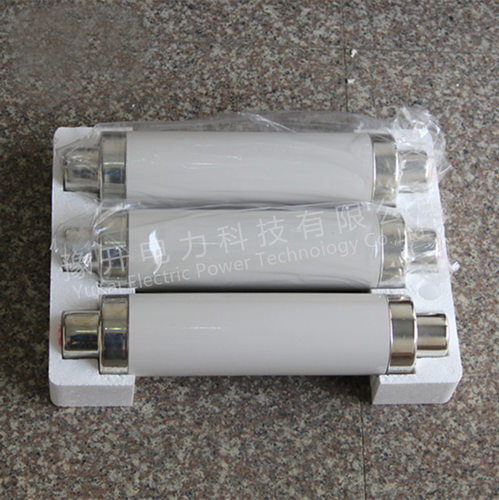 XRNP1-12KV 10KV/0.5A 1A 2A-50KA高分断电压互感器 保护熔断器 - 图2