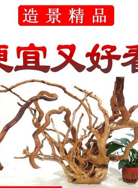 天然沉木杜鹃根精品栖根鱼缸水草缸雨林缸树枝树根造景微景观素材