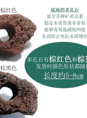 鱼缸水草造景懒人火山石多孔石定植活体淡水植物水榕沉木水族箱