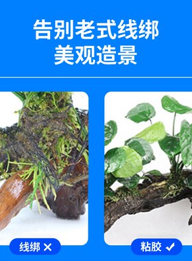 国象水草胶鱼缸造景莫斯沉木珊瑚莫丝骨架胶水水族专用海水粘石头