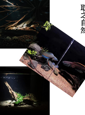 天然南美棕沙原生态溪流鱼缸造景沙子红色雨林砂鼠鱼七彩埃及电龙