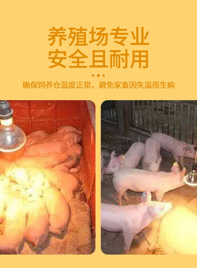 保温灯头螺口带开关带线调温灯头猪鸡鸭取暖灯头加热陶瓷防水e27