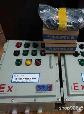 燃信热能 沼气锅炉火焰监测器 熄火保护报警装置 防爆型