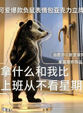 爆款负鼠老鼠表情包亚克力立牌