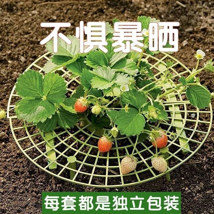 花架种植草莓托盘架神器防倒伏植物果实支撑园艺用品绿植支撑架子 - 图0