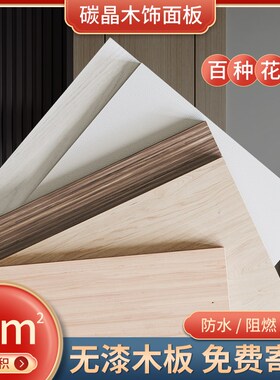 碳晶板竹炭木饰面纤维板背景墙室内装修无缝护墙板装饰板金属板