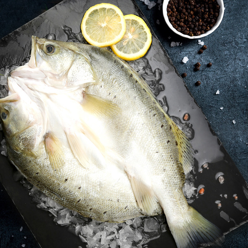 钓鱼记白蕉海鲈鱼500g*3条三去开背新鲜冷冻真空烤鱼半成品,淘宝优惠券,粉丝福利购,淘宝优惠卷