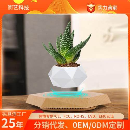 桌面植物盆栽室内绿植仿真可种多肉花苗diy欧式ins风植物摆件 - 图1