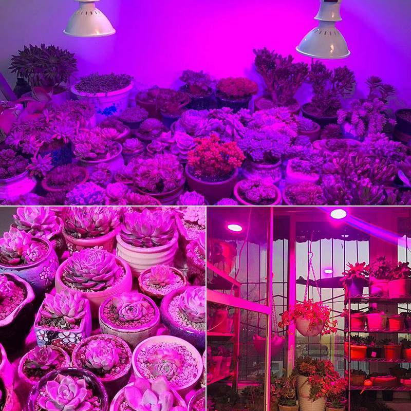 推荐太阳光模拟灯仿照植物生长灯能全光谱植物补光灯多肉专用室内-图1