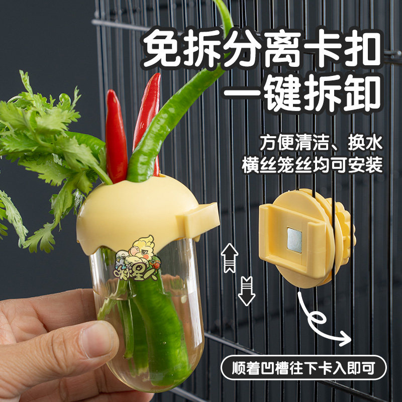 鹦鹉水培瓶蔬菜豆苗保鲜罐玄凤牡丹和尚花插水果喂食器用品配件,淘宝优惠券,粉丝福利购,淘宝优惠卷