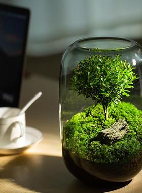 桌面微景观摆件办公室电脑桌工位解压装饰品送朋友情绪稳定小礼物