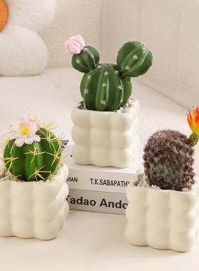 海贝海仙人掌盆栽多肉植物仙人球盆栽室内假花办公室桌面装饰摆件