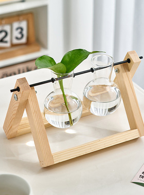 创意烧杯水培绿萝植物木质支架玻璃花瓶办公室桌面装饰品摆件好物