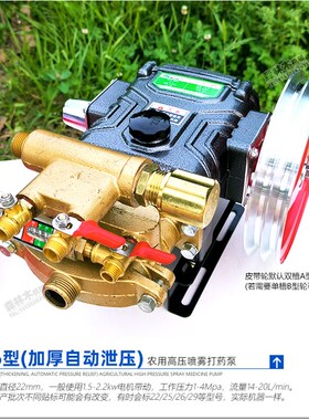 高压清洗打药机喷雾机三缸柱塞泵园林绿化压力泵抽水洗车泵头包邮