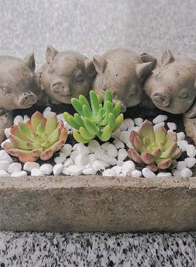 Fun Amoy Americacn Country Outdoor Barretry Villa Vintage C