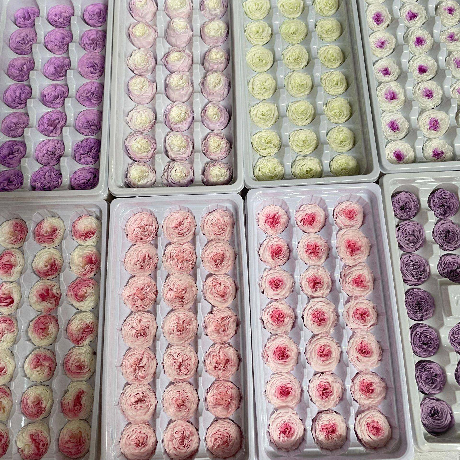 厂家直供永生花奥斯汀花头2-3厘米巧克力心保鲜花DIY花材,淘宝优惠券,粉丝福利购,淘宝优惠卷