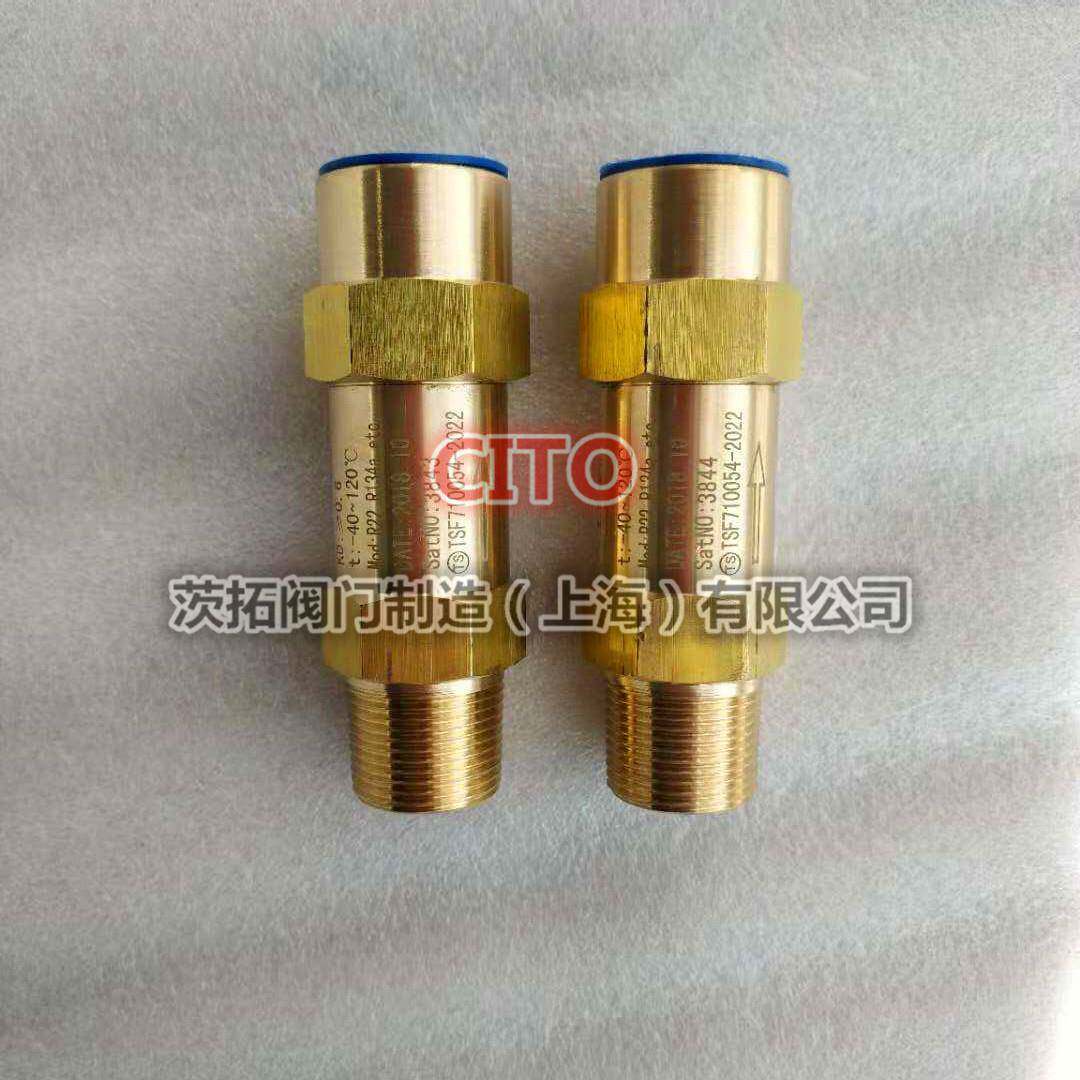 冷媒安全阀SFA-22C300TSFA-22C300T1/T2/T3/T9冷冻机用蒸发器 - 图1