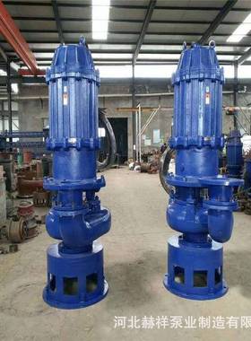 ZJQ潜水渣浆泵矿浆输送泥浆泵火电厂水力除灰疏浚河道抽沙排污泵