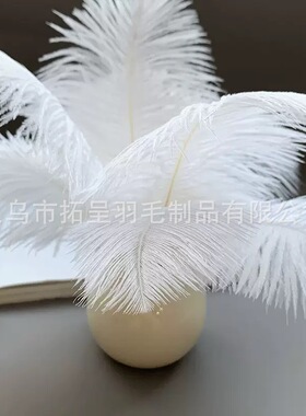 彩色20-25鸵鸟毛工厂直销手工DIY捕梦网服装羽毛材料饰品配件