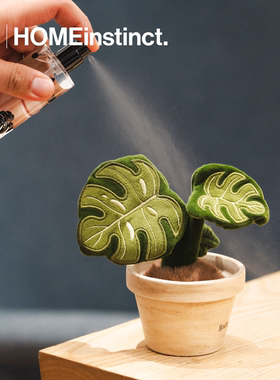 回家本能龟背竹植物盆栽香氛礼盒