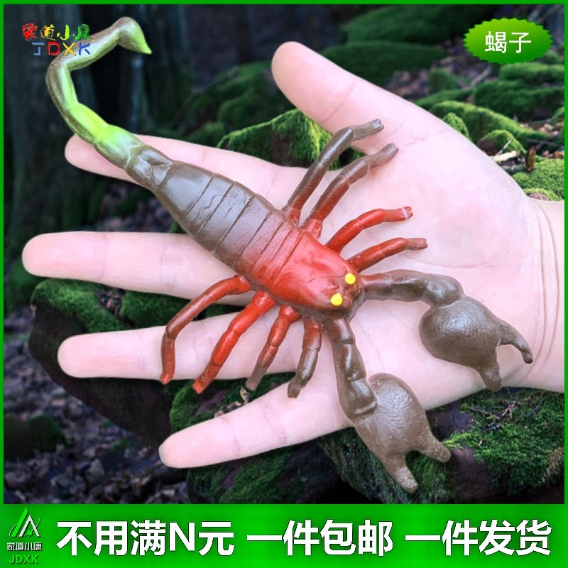 软胶仿真蝎子大号套装幼儿园儿童认知玩具吓人吓人动物小昆虫模型 - 图1