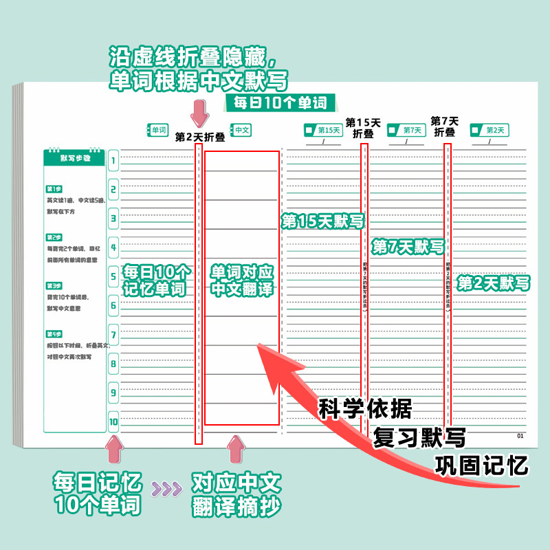 艾宾浩斯英语单词本记忆本听写小学初中单词背涌记背神器遗忘记忆