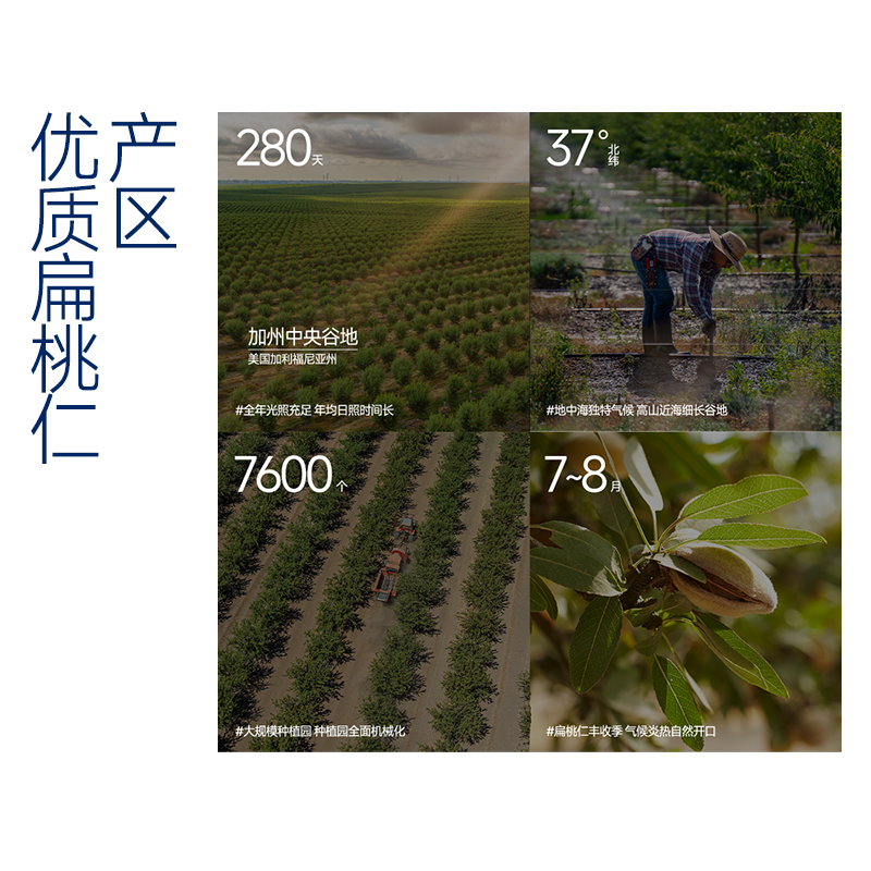 【亿堡扁桃仁】原味零添加罐装大颗粒巴旦木仁杏仁坚果零食孕妇