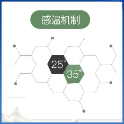 加厚床单垫家用软垫学生宿舍榻米海绵垫底人床折铺叠kwkSYbaR直榻 - 图2