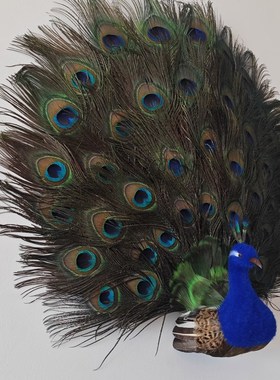 仿真开屏孔雀 家具摆件节日礼品iNns风真羽毛装饰品