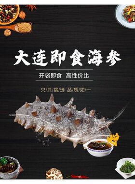 大连海参海报展板海参大连即食海参大连海参大连野生海参墙贴墙纸