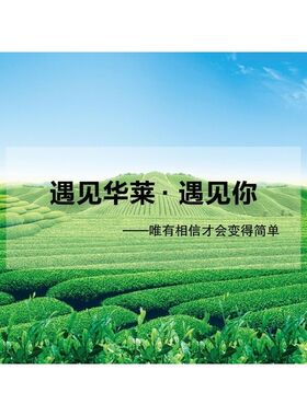 中国茗茶安化黑茶海报展板世界只有中国有中国只有湖南有墙贴KT板