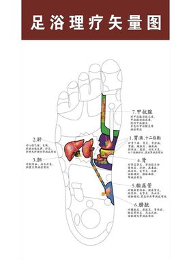足部反射区挂图海报展板牛氏足道足部反射区示意图足浴理疗矢量图