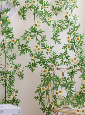 好货仿真花藤缠绕遮挡绿叶藤蔓背景墙森系ins植物阳台空调管装饰