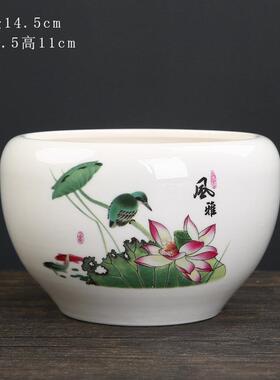 水养睡莲碗莲缸盆陶瓷水仙花盆大号一叶莲水栽铜钱草水培器皿